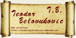 Teodor Belovuković vizit kartica